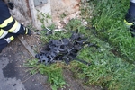 DSC05887.jpg